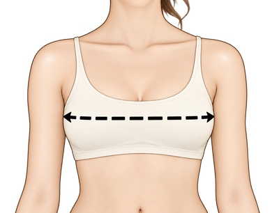 Bust / Chest